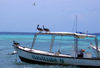 Los Roques, Venezuela: Isla Madrizqui - pelicans and boat - photo by R.Ziff
