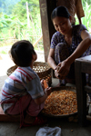 Ba Be National Park - vietnam: girl helping her mother plucking corn-kernel - photo by Tran Thai