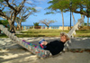 USVI - St. Thomas - a tourist relaxes in a resort hammock, reading up on her next destination - photo by G.Friedman