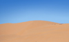 Layoune / El Aaiun, Saguia el-Hamra, Western Sahara: dunes of the Sahara desert along the Oued Saqui el-Hamra - photo by M.Torres