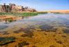 Layoune / El Aaiun, Saguia el-Hamra, Western Sahara: Oued Saqui el-Hamra - El Aaiun means 'water pools' - photo by M.Torres