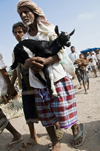 Bayt al-Faqih, Al Hudaydah governorate, Yemen: Man carrying a goat at weekly market. - photo by J.Pemberton