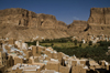 Wadi Hadhramaut, Hadhramaut Governorate, Yemen: traditional villages -  majestic sandstone cliffs and fields along the valley - mud architecture - terraces - photo by J.Pemberton