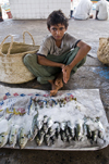 Al Hudaydah / Hodeida, Yemen: boy selling fish at market - photo by J.Pemberton