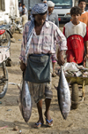 Al Hudaydah / Hodeida, Yemen: man carrying tuna for the morning fish market - photo by J.Pemberton