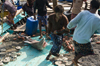 Al Hudaydah / Hodeida, Yemen: dragging a shark to the morning fish market - photo by J.Pemberton