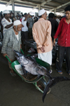 Al Hudaydah / Hodeida, Yemen: transporting a large Swordfish in a wheelbarrow - morning fish market. - photo by J.Pemberton