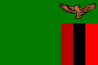 Image result for Zambia, Africa Flag
