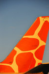Lusaka, Zambia: giraffe themed tail of Zambezi Airlines Boeing 737-5Y0, 9J-ZJB cn 26100 - Lusaka / Kenneth Kaunda International Airport - LUN - photo by M.Torres