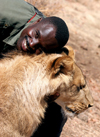 Masuwe Safari Lodge, Matabeleland North province, Zimbabwe: lion and friendly park ranger - photo by R.Eime