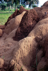 Grand Bassa County, Liberia, West Africa: Buchanan / UCN - termite mounds - close - photo by M.Sturges