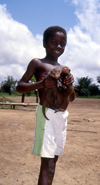 Grand Bassa County, Liberia, West Africa: Buchanan - boy with mongooses - photo by M.Sturges