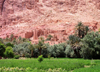 Morocco / Maroc - Todra: ruins on the slope - photo by J.Kaman