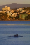 New Zealand - New Zealand -  North island - Wellington: rowers on the harbour (photographer R.Eime)