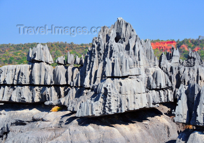 madagascar308: Tsingy de Bemaraha National Park, Mahajanga province, Madagascar: sharp limestone pinnacles - karst formation - UNESCO World Heritage Site - photo by M.Torres - (c) Travel-Images.com - Stock Photography agency - Image Bank