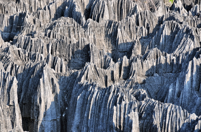 madagascar325: Tsingy de Bemaraha National Park, Mahajanga province, Madagascar: karst limestone formation - Tsingy de Bemaraha Strict Nature Reserve, the largest reserve in Madagascar - UNESCO World Heritage Site - photo by M.Torres - (c) Travel-Images.com - Stock Photography agency - Image Bank