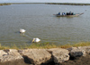 Senegal - Djoudj National Bird Sanctuary: pelicans and boat - photo by G.Frysinger