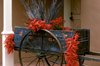 Santa F, New Mexico, USA: red chili peppers decorate an old cart - photo by C.Lovell